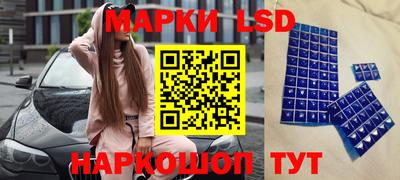 амф Обнинск