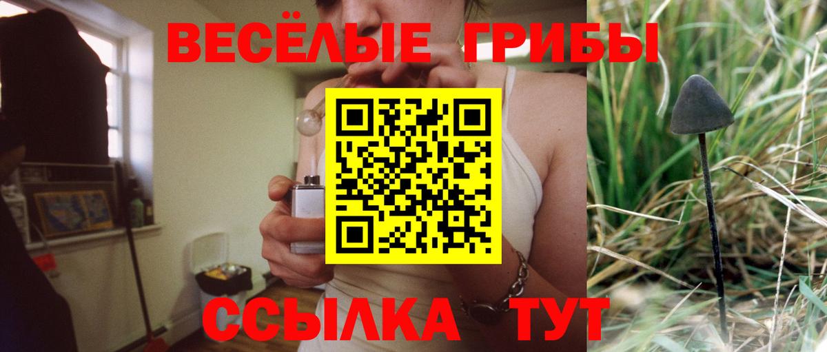 Псилоцибиновые грибы Psilocybe  Вход с VPN  Сокол 